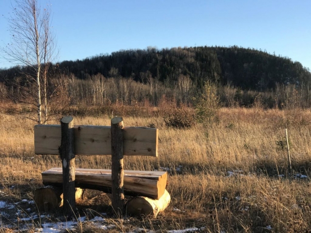 Sélection au concours 2020